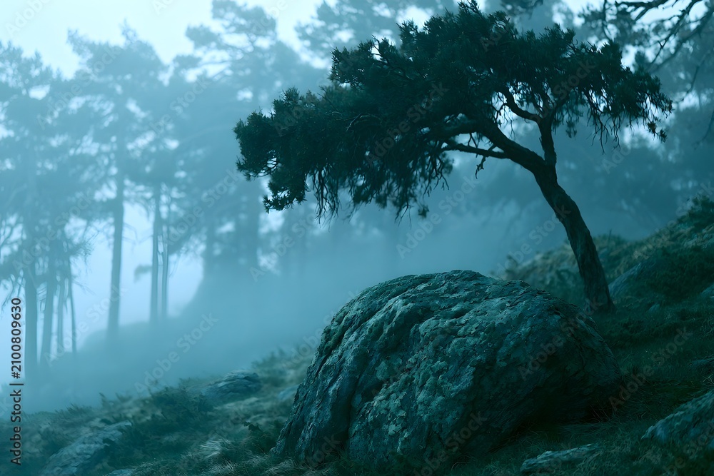 Fototapeta premium Fog-shrouded pine ridge with wind-bent tree at blue hour