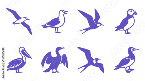 Vászonkép Set of Bird Silhouettes: Seagull, Puffin, Pelican, Cormorant, Tern Icons