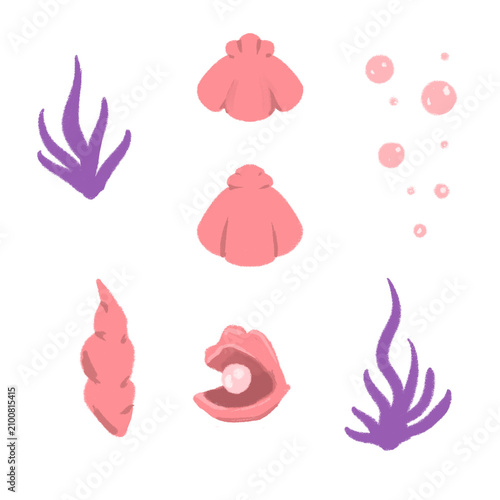 pink sellfish