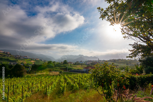 Beautiful rural vineyard landscape in Madeira mountains with dramatic sky and bright sunbeams