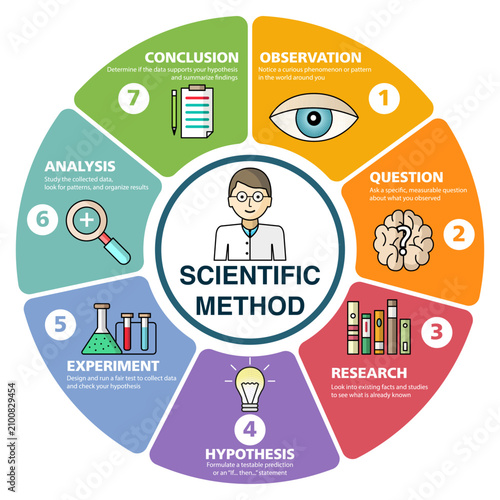 Scientific method circular wheel infographic with text descriptions and scientist icon. Educational science chart showing 7 steps from observation to conclusion vector illustration
