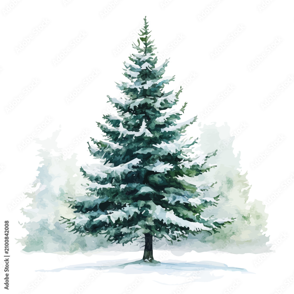 Obraz premium watercolor vector of Towering Spruce Tree In A Winter Forest drawing, isolated on a white background.
