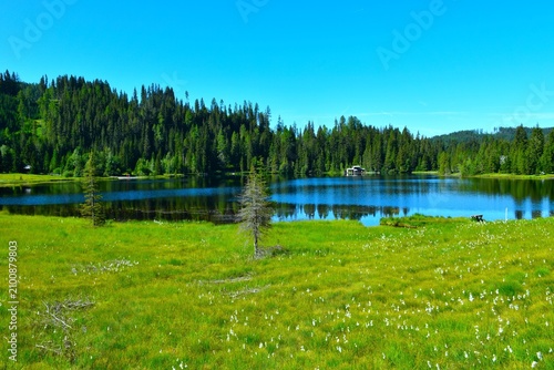 View of Prebersee lake with a conifer forest at the lake shore in Lungau, Niedere Tauern, Austria