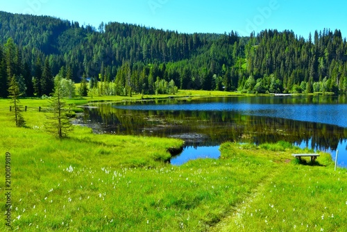 Raised bog at the shore of Prebersee lake with a conifer forest covering the hill above in Lungau, Niedere Tauern, Austria