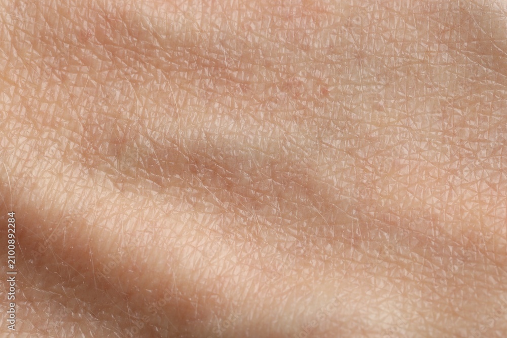 Fototapeta premium Texture of normal skin as background, closeup