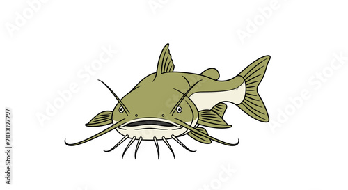 Vector illustration of a catfish with long whiskers, isolated on a white background. Hand-drawn style, perfect for fishing themes, seafood concepts, or wildlife design.