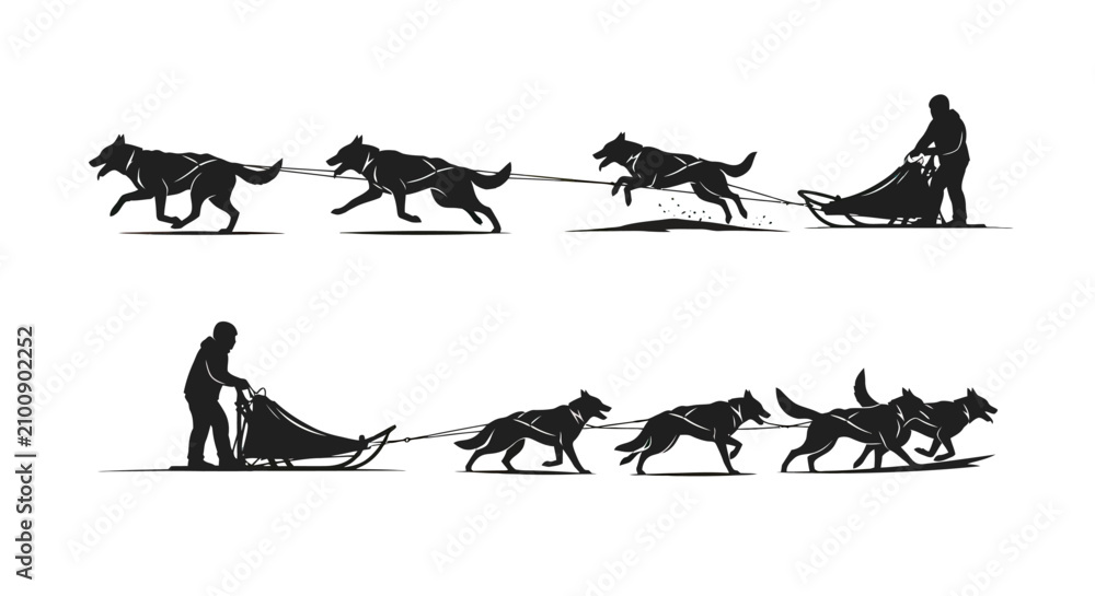 Fototapeta premium Dog Sled Team in Motion Silhouette.