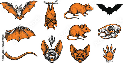 Set of 11 hand-drawn icons related to Halloween animals, bats, rats - collection of bat, rat, mouse, bat wing, bat face, rat skull, bat silhouette, rat tail, rat paw vector elements