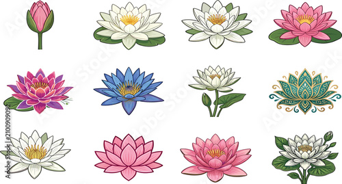 Foto Lotus flower vector collection featuring colorful water lilies closed buds bloom