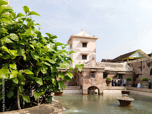 Green flowering shrub frames the historic bathing pool and tower at Taman Sari Water Castle in Yogyakarta, Indonesia, photographed in daylight with visitors exploring the royal heritage complex.