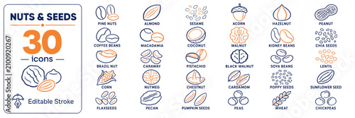 Canvastavla Nuts and seeds icons set with editable stroke