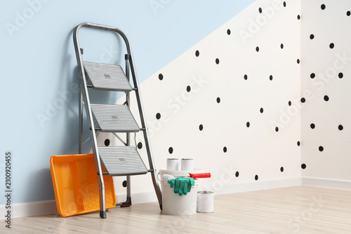 Home renovation with painti...
