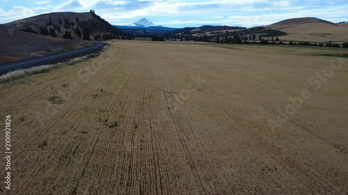  Drone flight in low light during heavy winds over rippling wheat field