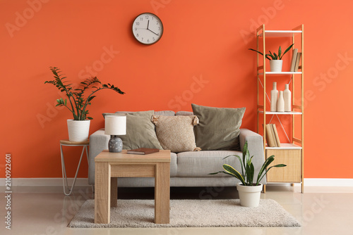Comfortable sofa, shelving ...