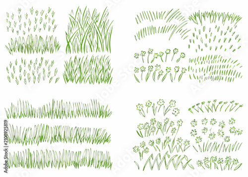 Billede på lærred Green grass clusters and floral elements hand drawn vector illustration