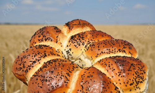poppy seed bun