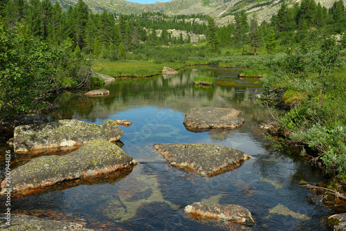 Canvastavla Large rocks jut out from the surface of a calm river flowing down from the mountains through a valley covered with bushes on a sunny summer day