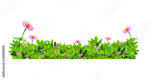 grass and flowers