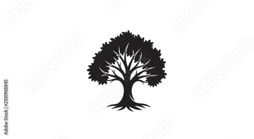 фотографія Black tree silhouette on white background with sprawling branches leaves thick t