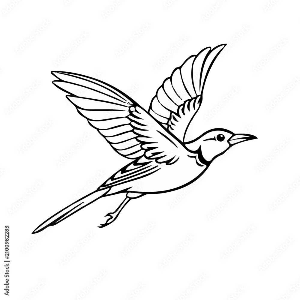 Fototapeta premium Simple flying bird Vector Images & Graphics for Commercial Use