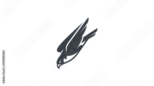 Flying Bird Silhouette in Air.