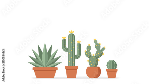 Collection of potted cacti and succulent plants illustration.