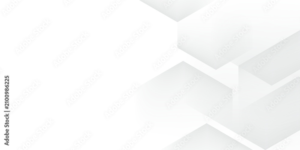 Fototapeta premium Abstract white monochrome vector background, for design brochure, website, flyer. Geometric white wallpape