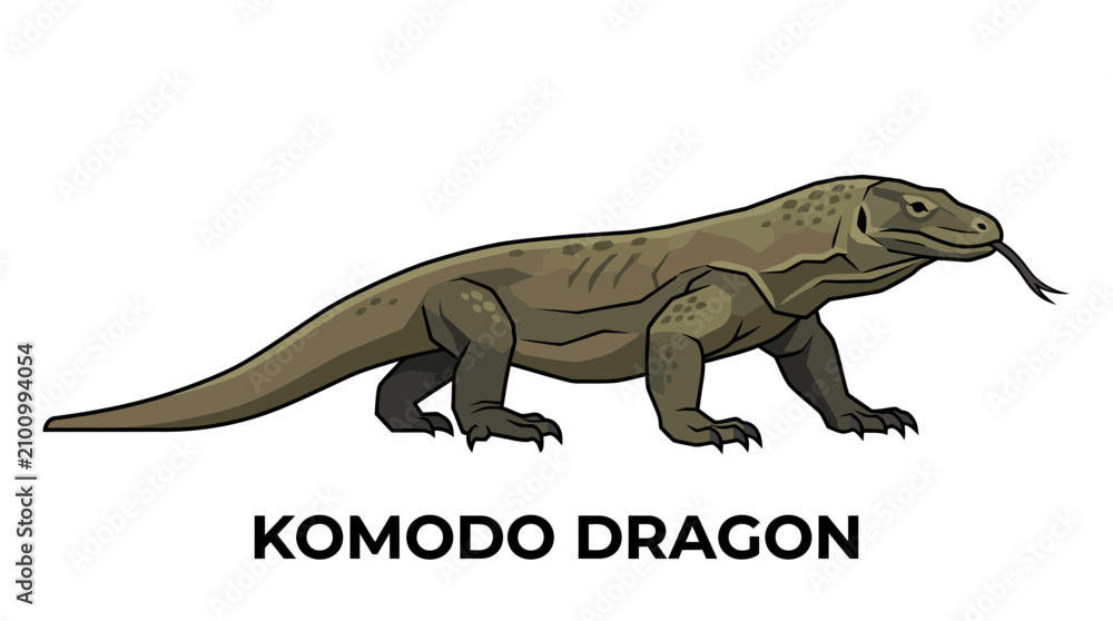 Obraz premium Detailed Vector Illustration of a Majestic Komodo Dragon Reptile Standing in Profile