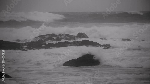 台風接近時の奄美大島の海岸線：強風に揺れる木々と荒れる海（モノクロ）