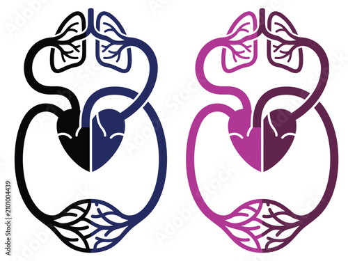 Tableau sur toile Human circulatory system and lung anatomy diagram set with circulatory physiolog