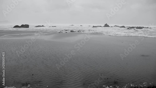台風接近時の奄美大島の海岸線：強風に揺れる木々と荒れる海（モノクロ）