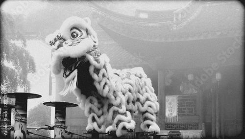 Lion dance costume at temple in black and white