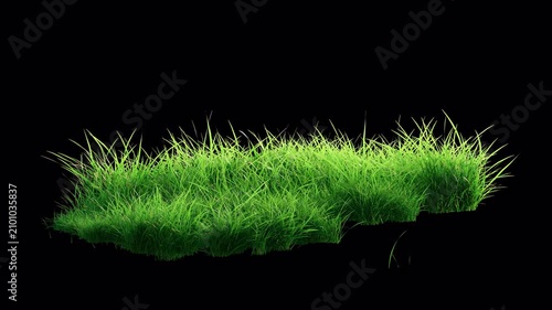 Fresh Green Grass Patch Swaying in Wind Loop on Alpha Channel.