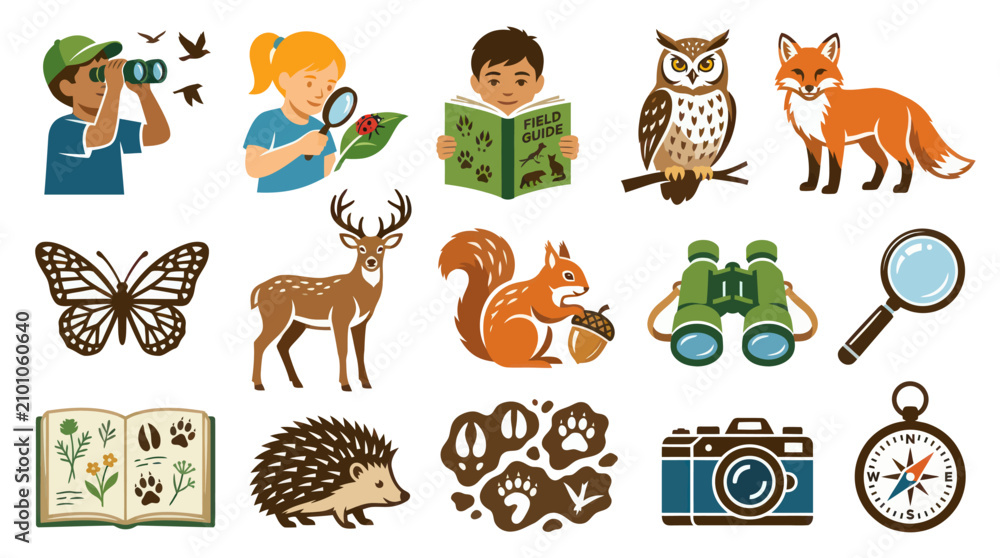 Obraz premium Flat Vector Nature Wildlife Education Icons: Outdoor Exploration Animals, Tools, Children Field Guide Elements