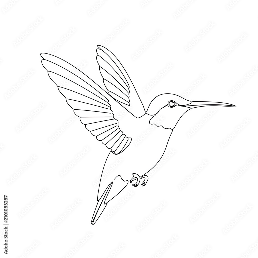 Obraz premium Detailed flying hummingbird line drawing with wing patterns.