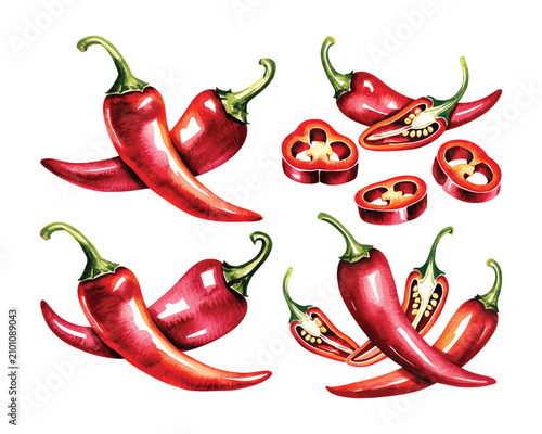 Tableau sur toile Watercolor Chili Pepper Clipart, Spicy Garden Vegetable vector illustration isol