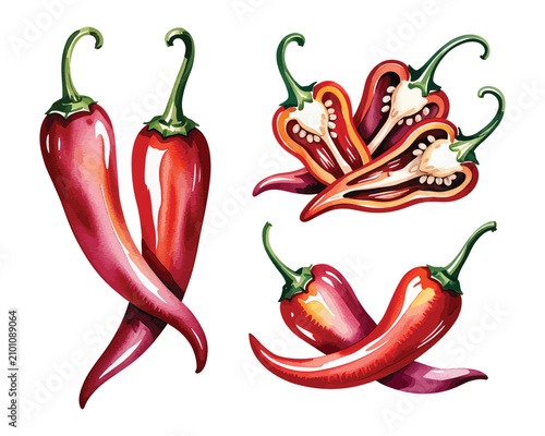 Tableau sur toile Watercolor Red Chili Pepper Illustration, Fresh Organic Vegetable Clipart, Isola