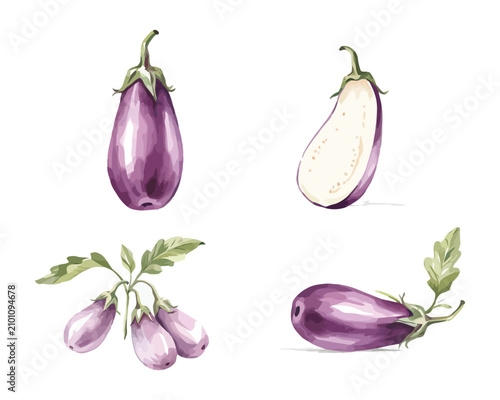 Bild auf Leinwand Hand-Painted Eggplant Watercolor, Farm Fresh Vegetable Clipart, Isolated Vector