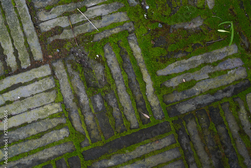 Foto Old mossy brick pavement with geometric patterned layout