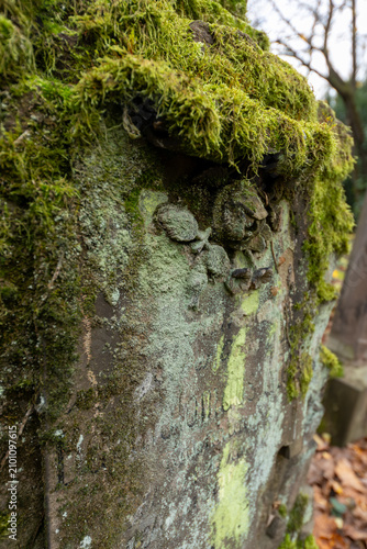 Obraz na płótnie Ancient mossy headstone showing carved weathered details in cemetery