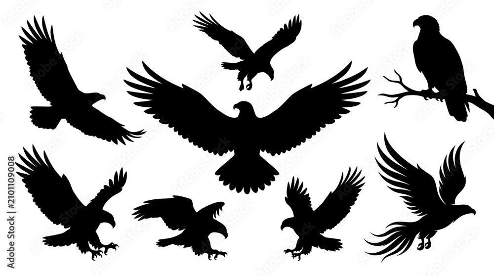 Fototapeta premium Set of black eagle silhouettes in various flying and perched poses isolated on white background.