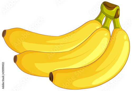 Ripe Yellow Banana Bunch Vector Illustration on White Background