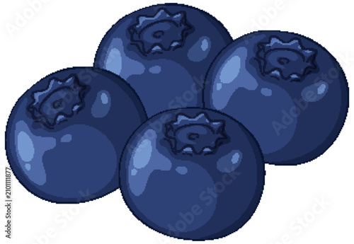Fresh Blueberry Fruit Vector Illustration on White Background