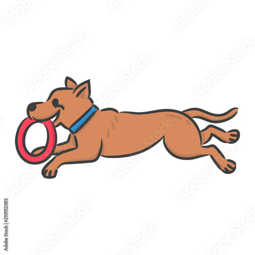 Cute Brown puppy running and playing with red toy vector.