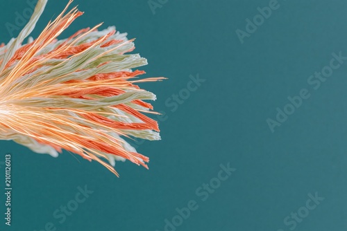 Luminous fibrous light trails in honey gold and terracotta orange fanning across a dark teal background for healthcare and wellness concepts