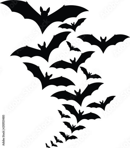 Fényképezés Halloween flying bats swarm black silhouette vector illustration, scary flock of