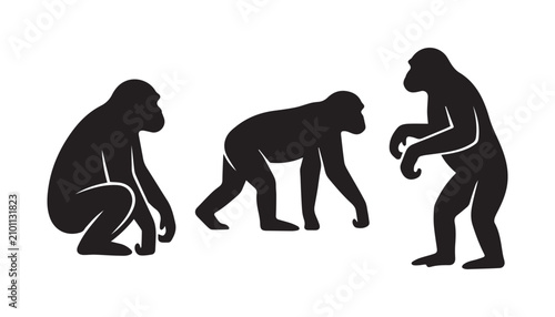 Tableau sur toile black and white silhouette set of Bonobo very high quality vector illustration