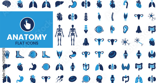 Photos Anatomy flat icons set with various human body parts and organs