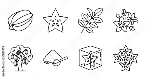 Cuadro en lienzo Star Fruit Collection PNG Fruit Tree Powder Ice Cube