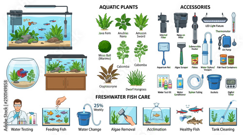 A person maintains a freshwater aquarium with various aquatic plants and accessories for healthy fish care at home.